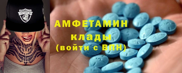 гашик Туринск
