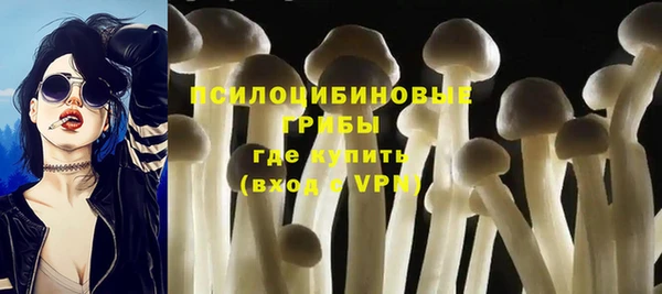соль ск Тутаев