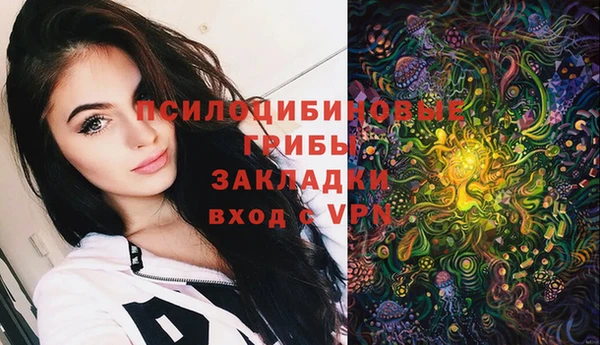 прущие крисы Горняк