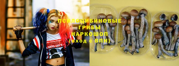 дживик Вяземский