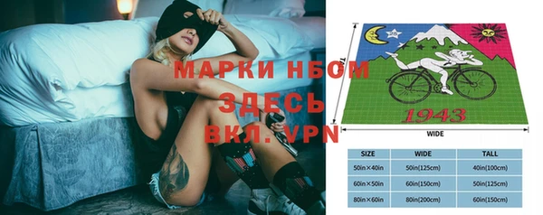 прущие крисы Горняк